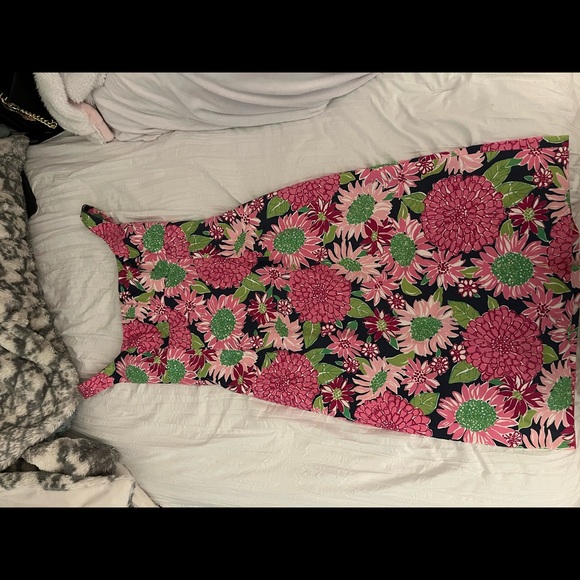 Lilly Pulitzer dress - Picture 1 of 2